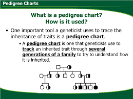 ppt pedigree charts powerpoint presentation free download