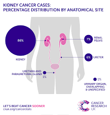 Kidney Cancer Incidence Statistics Cancer Research Uk