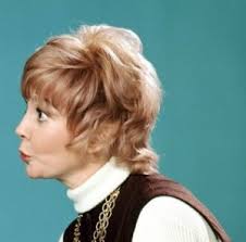 In Memoriam: The Year in R.I.P. in Comedy, 2015