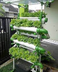 De 0 A 10 Qual A Nota Voces Dao Sigam Horta Do Dia Hortasdecasa Hortaemcasa Horta Hortavert Berkebun Hidroponik Ide Berkebun Kebun Sayur