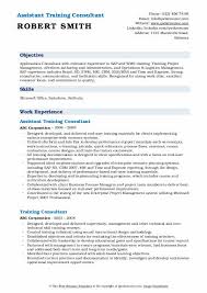 Technical consultant resume samples velvet jobs. Training Consultant Resume Health