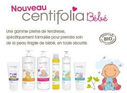Centifolia Bebe