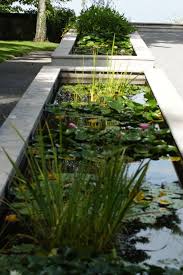 Ici, l'eau passe du ruisseau à la mare, la prairie humide et le marais. Gardens Party 4 Le Jardin D Eau Pre Curieux A Evian Steemit