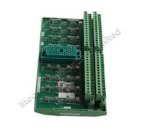 Triconex 9668-110 non-commoned relay output Termination ...