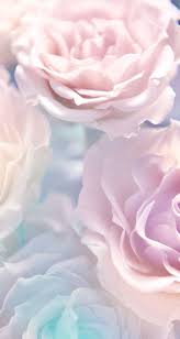 Delicadeza E Perfeicao Pretty Wallpapers Iphone Background Flower Wallpaper