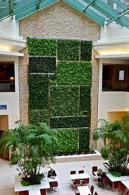 green wall green wall vertical garden green facade