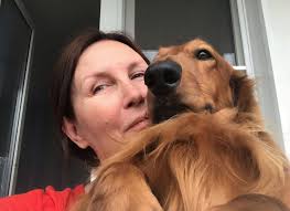 A big yes if a Dachshund is part of your family