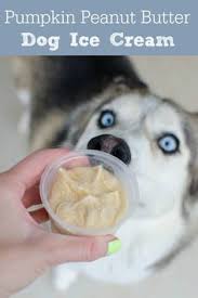 Pumpkin Peanut Butter Dog Ice Cream Homemade Ice Cream Recipe For Dogs Super Easy Only 4 Ingredients Dog Ice Cream Dog Biscuit Recipes Dog Ice Cream Recipe