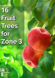 Living in zone 8 means you have a wide range of fruit trees. 16 Fruit Trees For Zone 3 Joybilee Farm Diy Herbs Gardening