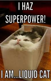 Howledge Ultimate Guide On How Tos Funny Animal Jokes Cute Animal Memes Animal Jokes