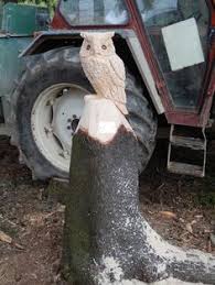 Zur einhaltung der maßnahmen sollen. Die 100 Besten Ideen Zu Kettensage Schnitzen Anleitung Schnitzen Holz Schnitzen Kettensage