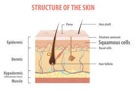 Not having risk factors doesn't mean that you will not get cancer. Skin Cancer Types Squamous Cell Carcinoma Causes