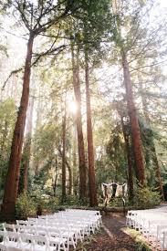 Stern Grove Wedding Photos Forest Wedding Venue Wedding Themes Outdoor Redwood Wedding
