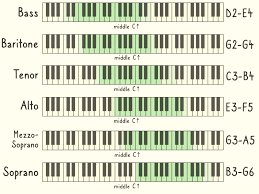 6 Easy Ways To Find Your Vocal Range With Pictures