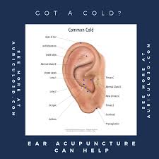 Got A Cold Earacupuncture Can Help Auriculo3d Is An Auriculotherapy Reference Containing Hundreds Of Ear Acup Acupuncture Acupuncture Points Asthma Relief