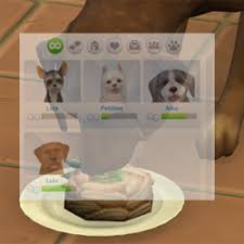 Before you can breed pets in the sims 2: Hunde Katzen Cats Dogs Bienchens Mods