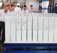 10000 Kg/Day Automatic Block Ice Machine Clean Block Ice and Automatic Ice  Harvest