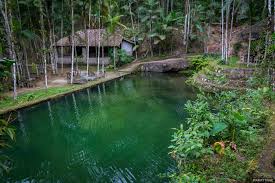 Resultado de imagem para cachoeiras 7 quedas