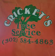 Check spelling or type a new query. Crickets Tree Service Home Facebook