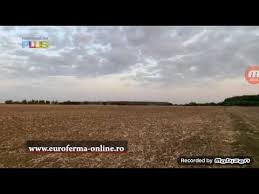 You are watching national 24 plus, this site made to makes it easy for watch online web television. National 24 Plus Ident 2019 Youtube