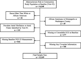 inclusion flow chart atherosclerosis risk in communities