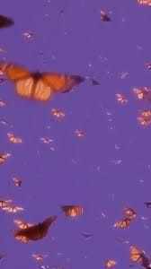Use This As A Live Background Aesthetic Flowers Videos Aesthetic Butterflie Butterfly Wallpaper Iphone Cute Wallpaper Backgrounds Iphone Background Wallpaper