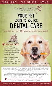 Now with two clinics conveniently located in peoria and prescott valley, arizona. Pin On Work