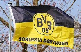 We did not find results for: Grosseres Minus Beim Bvb Westfalenspiegel