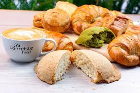 Section 504 of the rehabilitation act of 1973; Giornale Santa Fe Mexiko Stadt San Angel Menu Preise Restaurant Bewertungen Tripadvisor