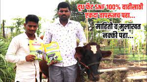 द ध फ ट Snf 100 व ढ स ठ एकद व पर नच पह म ह त व म ल खत Increase In Milk Fat Snf Information Youtube