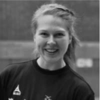 40+ «Lindman» profiler