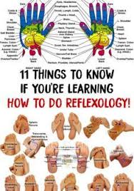 47 best reflexology foot chart pdf images reflexology