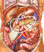 Bienvenue dans nos forums ! Traumatologie Lesions Internes