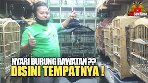 89 gambar emas di toko wahyu redjo paling keren gambar pixabay. Harga Emas Awal Tahun Baru 2021 Toko Emas Wahyu Redjo Manukan Sby Youtube