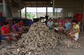 Everything you love about souq is now on amazon.sa. Soy An Exotic Fruit In Brazil S Amazon Jungle Inter Press Service