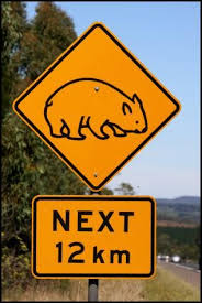 Australia Has Wombat Crossing Signs Wombat Australian Animals Australian Wildlife