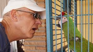 Exotic birds enliven Anna Maria beach shop