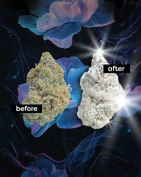 Introducing THC-A Diamond Infused Flower from Coastal Sun