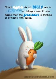 There's a wide range of attack names, ranging from the simple 'armageddon barrage' and 'falcon volley' to the more elaborate, often over the top, and possibly illogical names like 'watchful monkey, slaying trap', 'bouncing launch of grim beetle', and 'immortal rhino. Cute Bunny Quotes Quotesgram