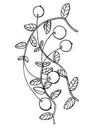 See coloring pages for adults stock video clips. Coloring Pages Coloring Pages Cranberry Printable For Kids Adults Free To Download
