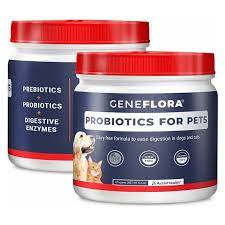 For many, the loyalty of a dog is simply. Geneflora Probiotics For Dogs Best Probiotic For Cats Prebiotic Natural Digestive Enzymes To Improve Dog Diarrhea Upset Stomach Bad Breath Allergies Candida Yeast Gas 125g 2 Packs Walmart Com Walmart Com