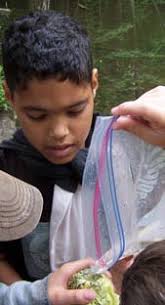 Student becomes teacher, returns to Camp Sylvan to create new generation of  memories for his class