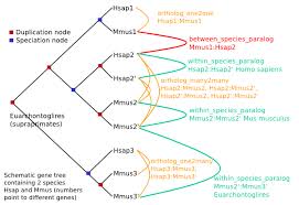 Homology Types