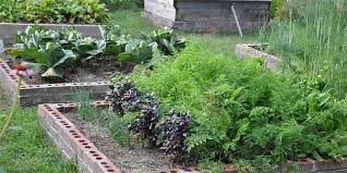Discover inspiring raised garden bed designs and ideas for beginners. How To A Build A Cheap Raised Garden Bed