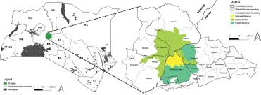 Image result for Ethulia vernonioides