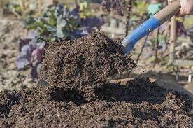 Proses pembuatan pupuk organik kompos. Cara Membuat Pupuk Kompos Sederhana Petani