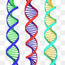 Colorful 3d Helix Dna With 3 Different Style Color Combination Science Structure Spiral Png Transparent Clipart Image And Psd File For Free Download Hologram Colors Dna 3d Dna