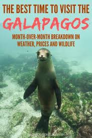 The galapagos island of santa cruz, where our camp is based, is at the heart of all our safaris. The Best Time To Visit The Galapagos Islands Be My Travel Muse
