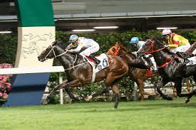 法國五月盃及法國賽馬會盃圖輯– 賽馬新聞– 香港賽馬會