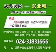 沈阳武警医院肛肠科 咨询热线 024 31831666 qq 1626836325 地址 沈阳市黄河北大街黑山路3号沈阳武警肛肠医院 治疗各种肛肠疾病 国家公立三级甲等医院 医保报销定点单位 特为患者开设男女分诊 引进当前治疗肛肠疾病最先进设备及技 boarding pass mobile